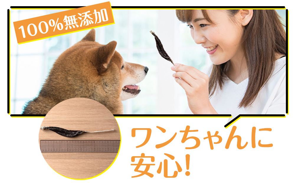 犬 おやつ 無添加 国産 エゾ鹿 アキレス ジャーキー (100g) 肉付 歯磨き 歯石 ガム 犬用 トリーツ ペットフード ドッグフード 干肉  エゾシカ: 浜頓別町ANAのふるさと納税