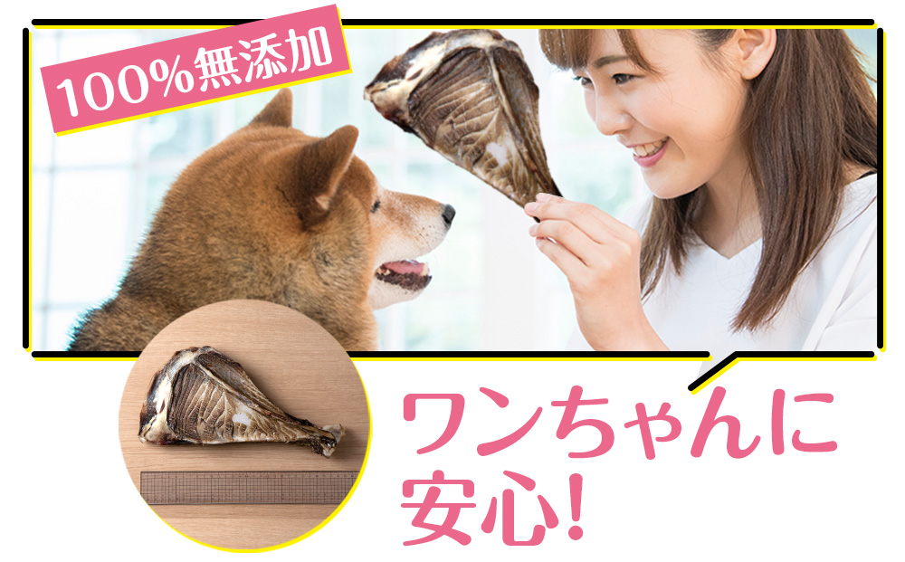 犬 おやつ 無添加 国産 骨 エゾ鹿 ボーン 肩甲骨 (約300g) 歯磨き 歯石 ガム 犬用 トリーツ ペットフード ドッグフード エゾシカ