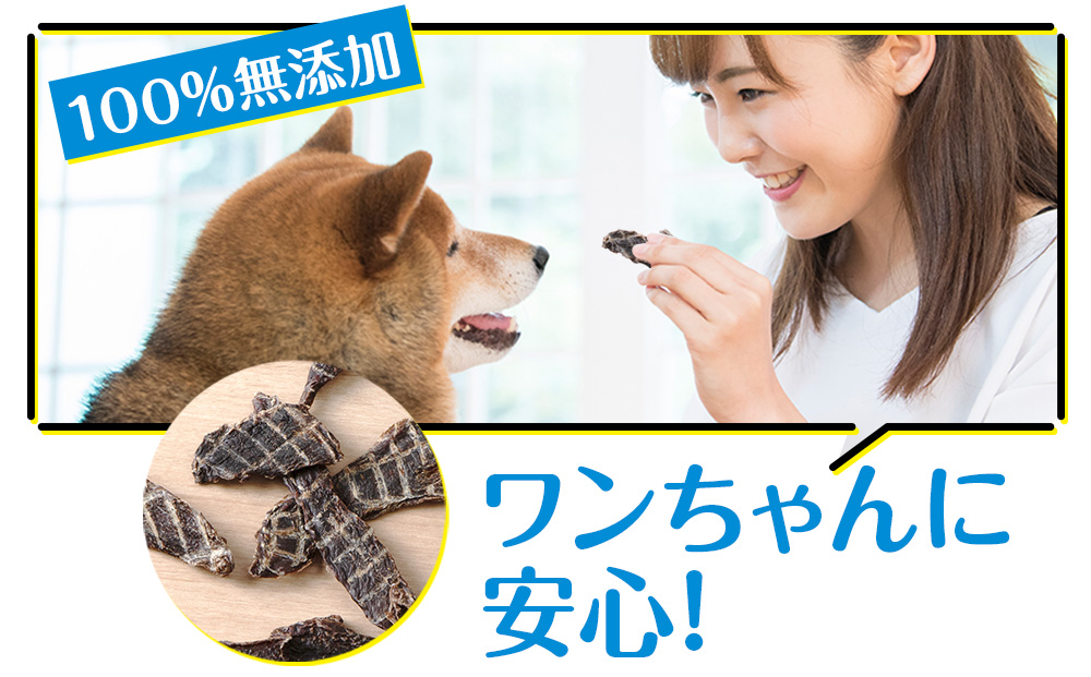 定期便 全4回 お楽しみ 犬 おやつ 無添加 国産 エゾ鹿肉 ジャーキー (150g) 犬用 トリーツ ペットフード ドッグフード 干肉 エゾシカ