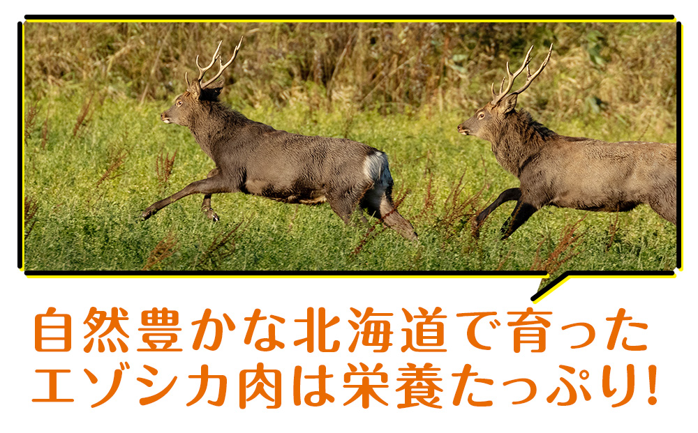 犬 おやつ 鹿肉 無添加 国産 エゾシカ 肉 100％ クッキー 240g (40g×6) ペット 餌 エサ 浜頓別 北海道