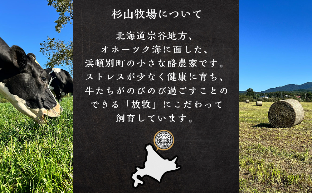 放牧牛 スロービーフ トライプジャーキー(犬用) 300g(30g×10) 杉山牧場 北海道 浜頓別 肉 牛 牛肉 ウエットエイジング