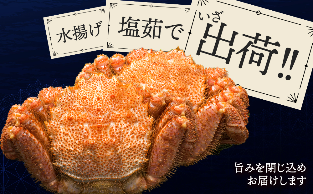 ☆北海道産 毛ガニ 約650g×2尾 セット かに 蟹 毛蟹 冷凍 北海道産 浜頓別町
