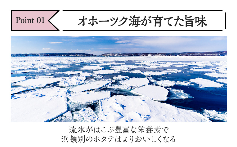 【1月下旬発送】 ほたて 貝柱 冷凍 200ｇ(15粒前後)×10パック 小分け お取り寄せ 刺身 《横田水産》