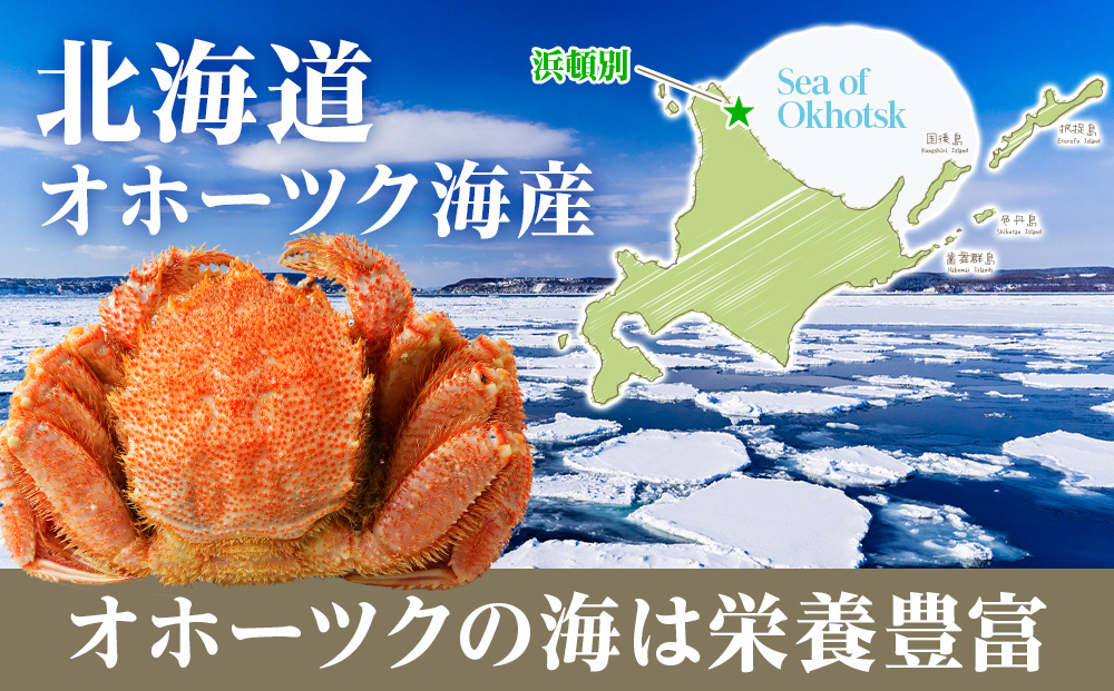 北海道産 毛ガニ 毛蟹の鉄砲汁6人前（2人前×3パック） みそ汁 鍋 セット 出汁