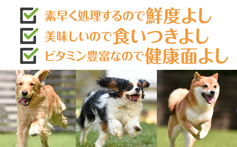 犬 おやつ 無添加 国産 エゾ鹿 アキレス ジャーキー (100g) 肉付 歯磨き 歯石 ガム 犬用 トリーツ ペットフード ドッグフード 干肉  エゾシカ: 浜頓別町ANAのふるさと納税