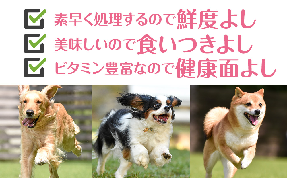 犬 おやつ 無添加 国産 骨 エゾ鹿 ボーン 肩甲骨 (約300g) 歯磨き 歯石 ガム 犬用 トリーツ ペットフード ドッグフード エゾシカ