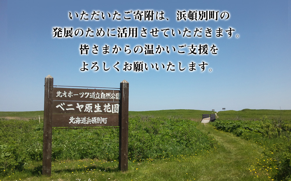 北海道 浜頓別町 ☆応援寄附金☆【返礼品なし】50,000円分 ふるさと納税 寄附のみ