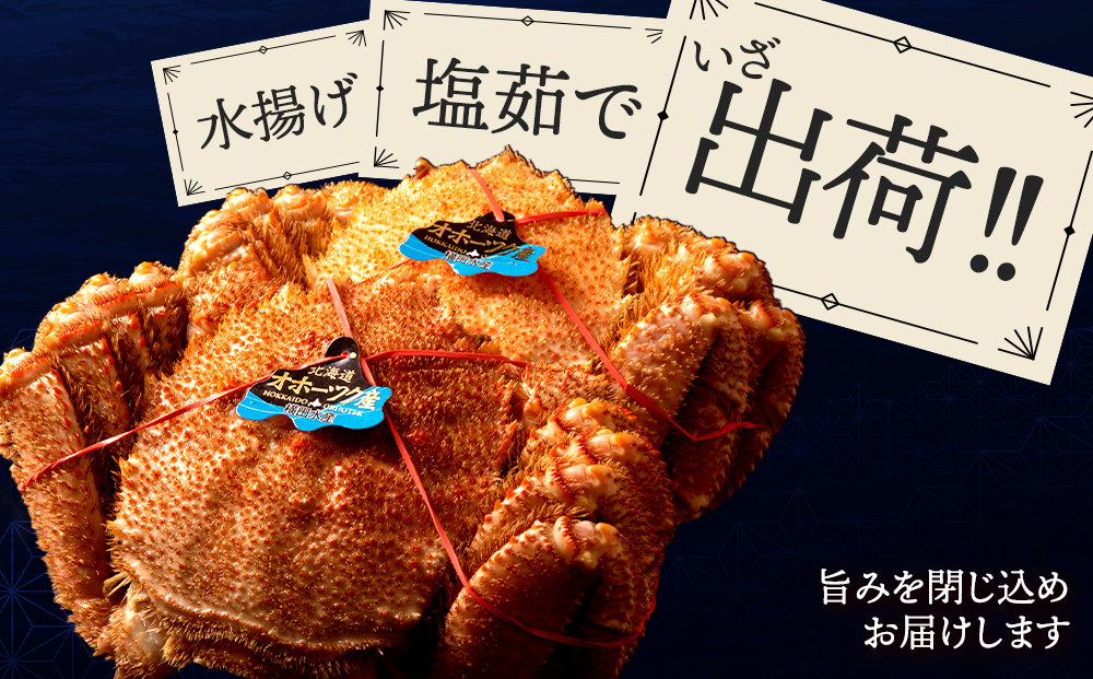 ☆北海道産 毛ガニ 約800g×2尾 セット かに 蟹 毛蟹 冷凍 北海道産 浜頓別町