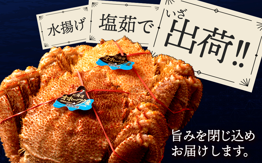 ☆北海道産 毛ガニ 約650g×1尾