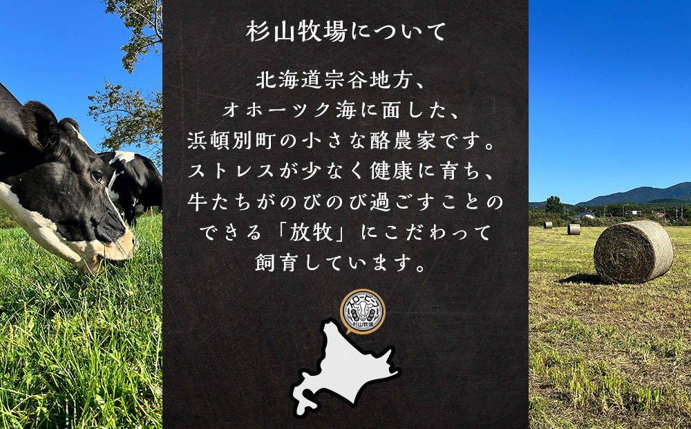 放牧牛 スロービーフ ハンバーグ 120g 10個(計1.2kg) 杉山牧場 北海道 浜頓別 肉 牛 牛肉 ウエットエイジング