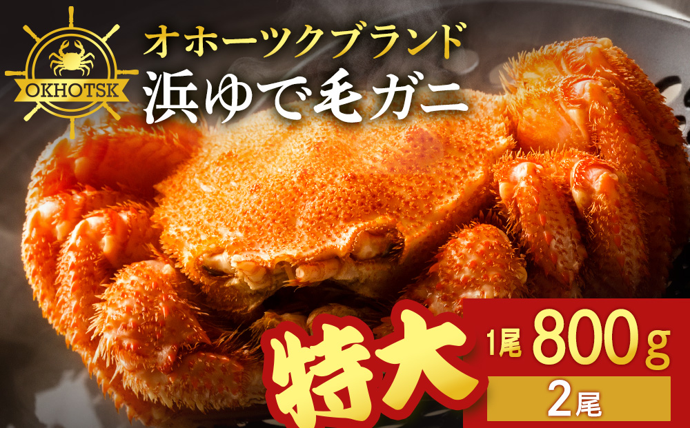 ☆北海道産 毛ガニ 約800g×2尾 セット かに 蟹 毛蟹 冷凍 北海道産 浜頓別町