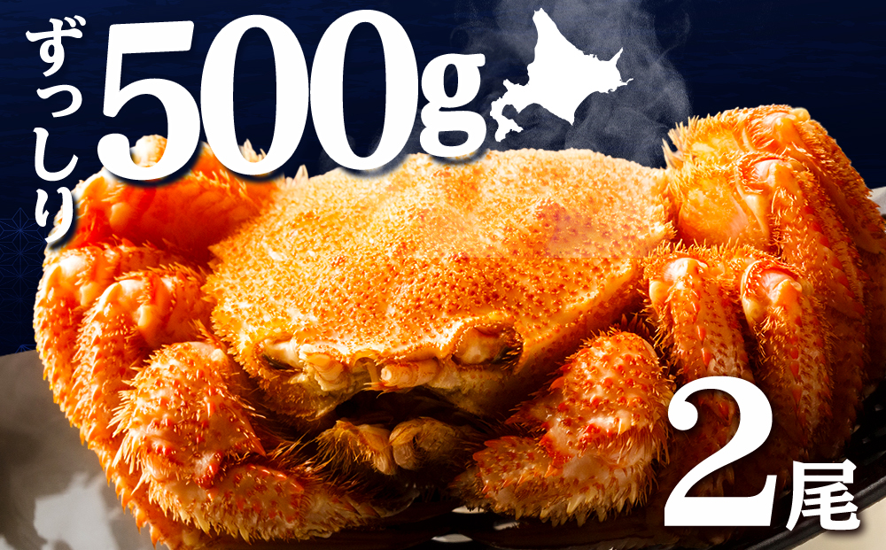 ☆北海道産 毛ガニ 約500g×2尾 セット かに 蟹 毛蟹 冷凍 北海道産 浜頓別町