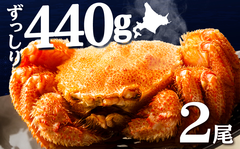☆北海道産 毛ガニ 約440g×2尾 セット かに 蟹 毛蟹 冷凍 北海道産 浜頓別町