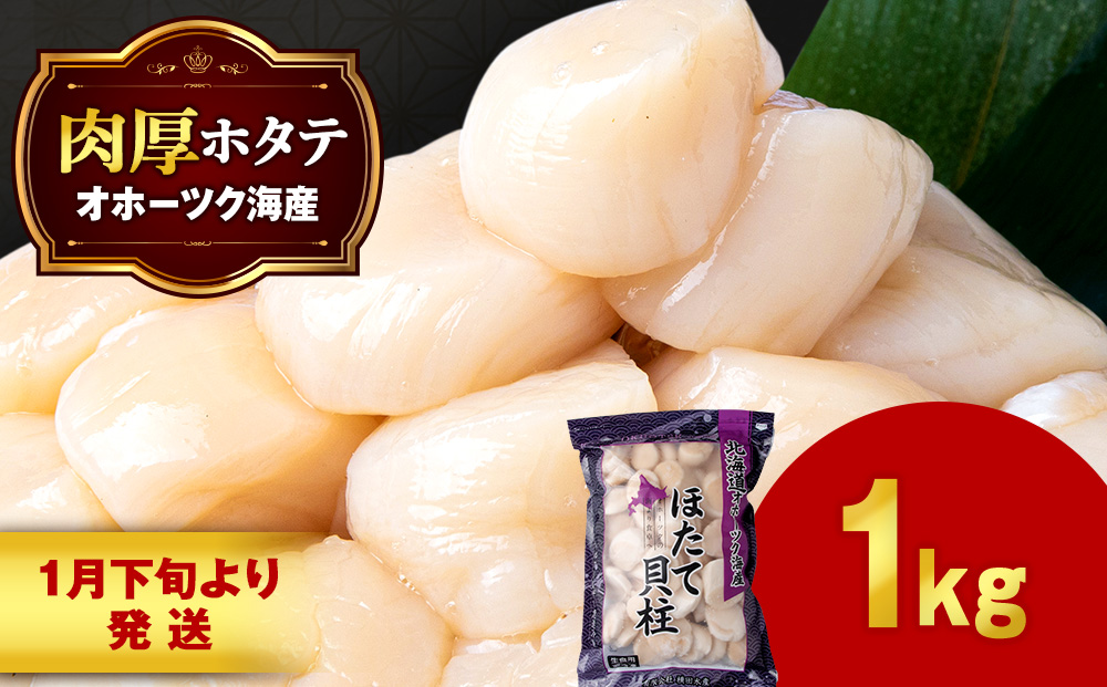 【1月下旬発送】 ほたて 貝柱 大粒 冷凍 1kg(41粒～50粒前後)×1パック お取り寄せ 刺身 《横田水産》