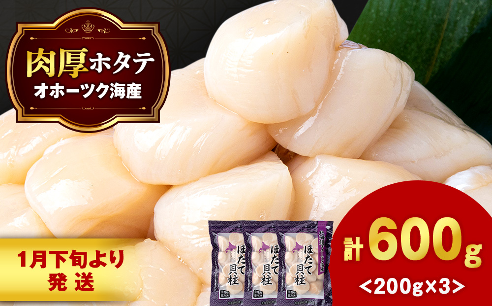 【1月下旬発送】 ほたて 貝柱 冷凍(15粒前後)200ｇ×3パック 小分け お取り寄せ 刺身 《横田水産》