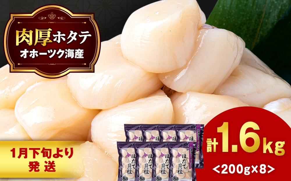【1月下旬発送】 ほたて 貝柱 冷凍 200ｇ(15粒前後)×8パック 小分け お取り寄せ 刺身 《横田水産》