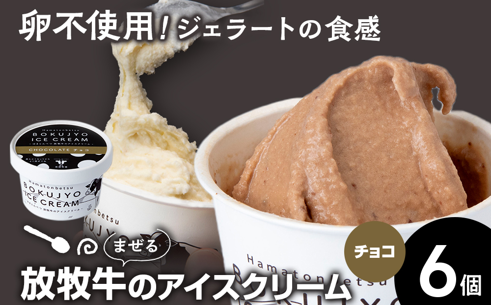 アイスクリーム 6個（チョコ） 【池田牧場】