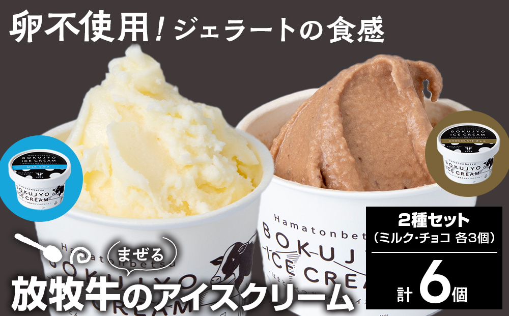 放牧牛 アイスクリーム2種（ミルク・チョコ　各3個）計6個 【池田牧場】