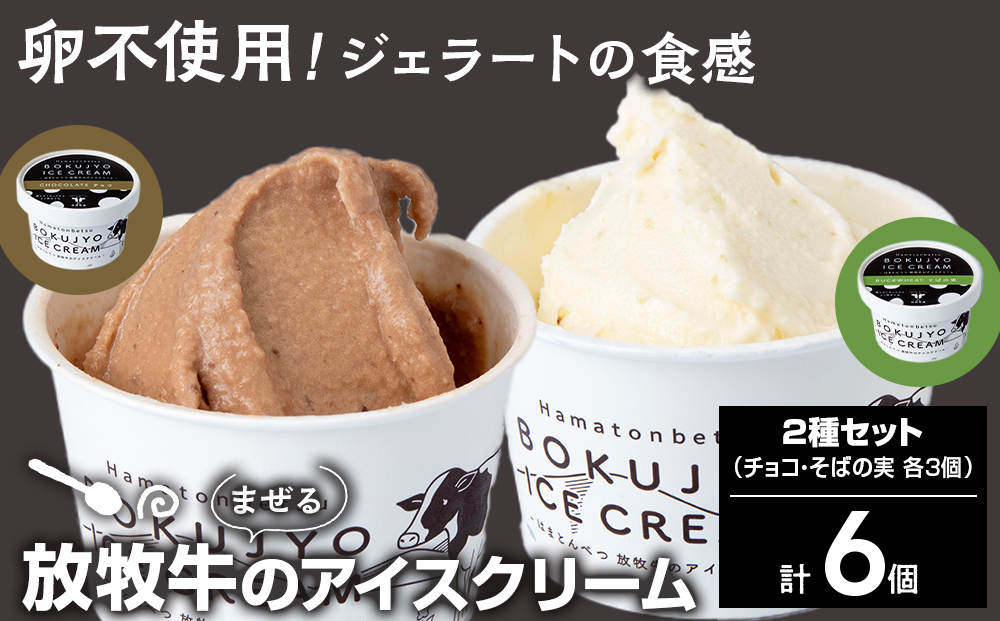 放牧牛 アイスクリーム2種（チョコ・そばの実　各3個）計6個 【池田牧場】