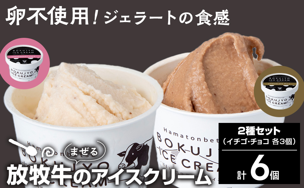 放牧牛 アイスクリーム2種（イチゴ・チョコ　各3個）計6個 【池田牧場】
