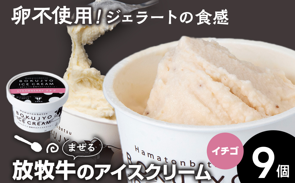 アイスクリーム 9個（イチゴ） 【池田牧場】