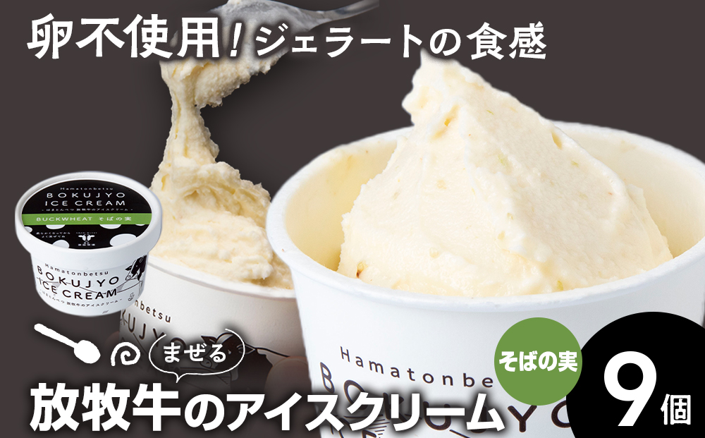 アイスクリーム 9個（そばの実） 【池田牧場】