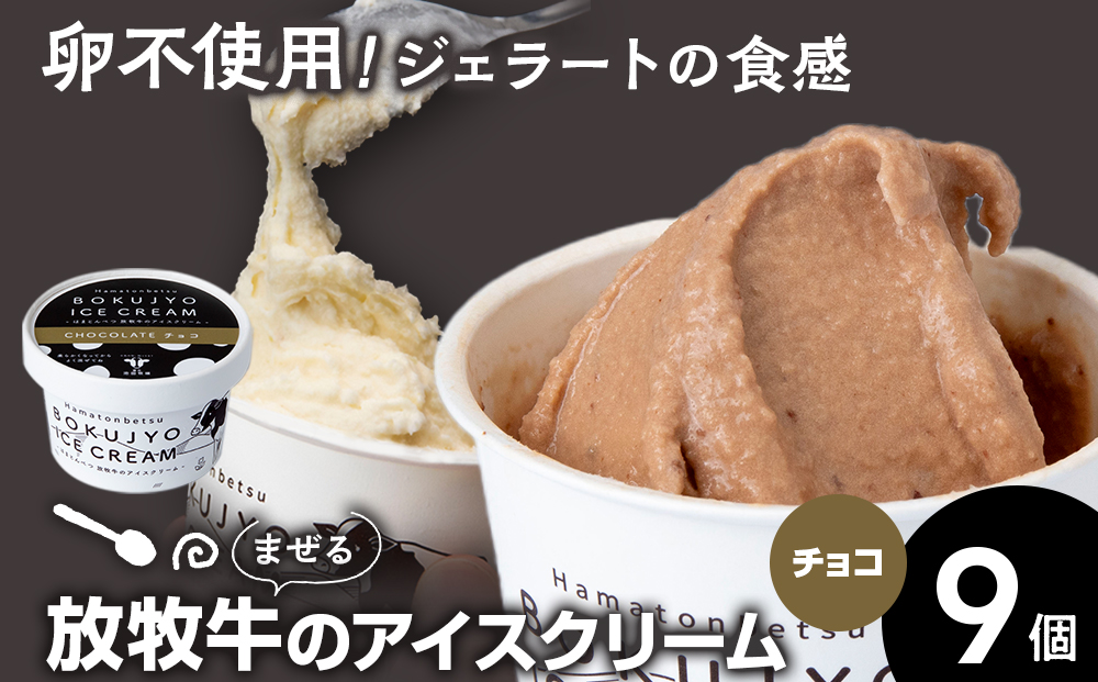 アイスクリーム 9個（チョコ） 【池田牧場】