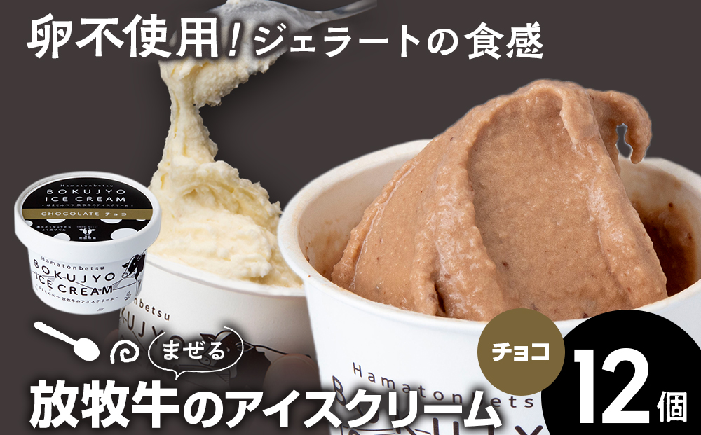 アイスクリーム 12個（チョコ） 【池田牧場】