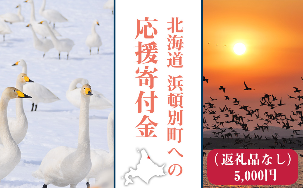 北海道 浜頓別町 ☆応援寄附金☆【返礼品なし】5,000円分 ふるさと納税 寄附のみ
