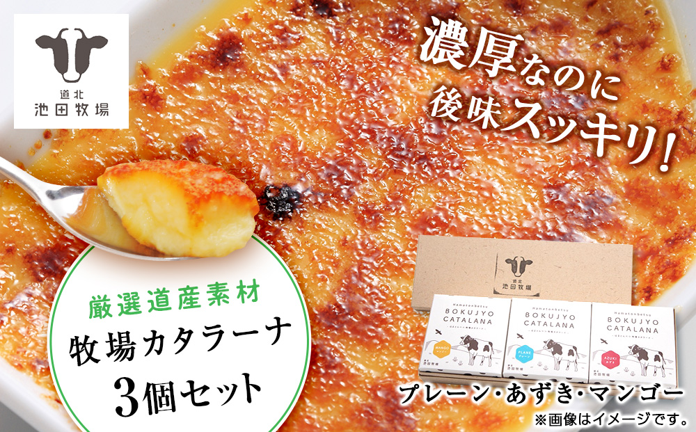 北海道 お菓子 スイーツ カタラーナ 3種 セット アイス 冷凍 ギフト 箱入り