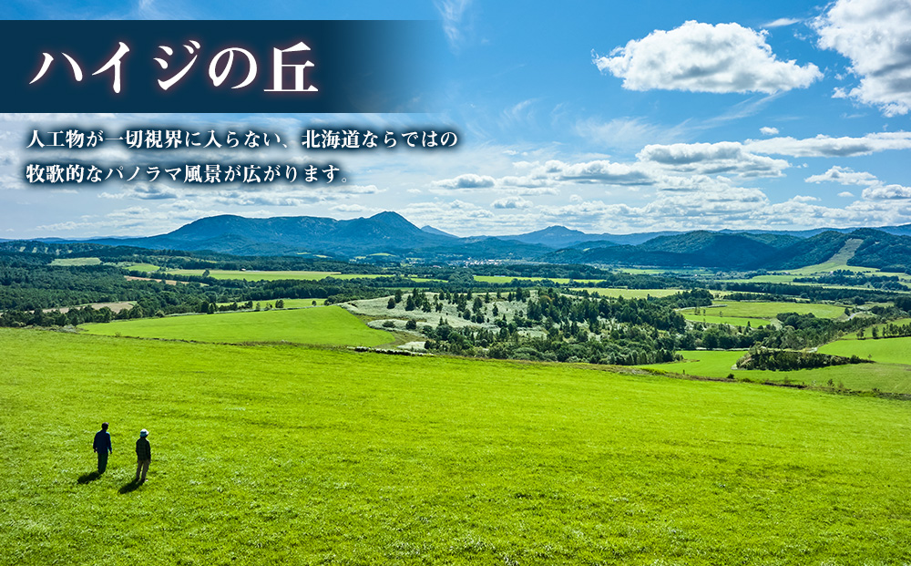 北海道 中頓別町 ☆応援寄附金☆【返礼品なし】50,000円分 ふるさと納税 寄附のみ