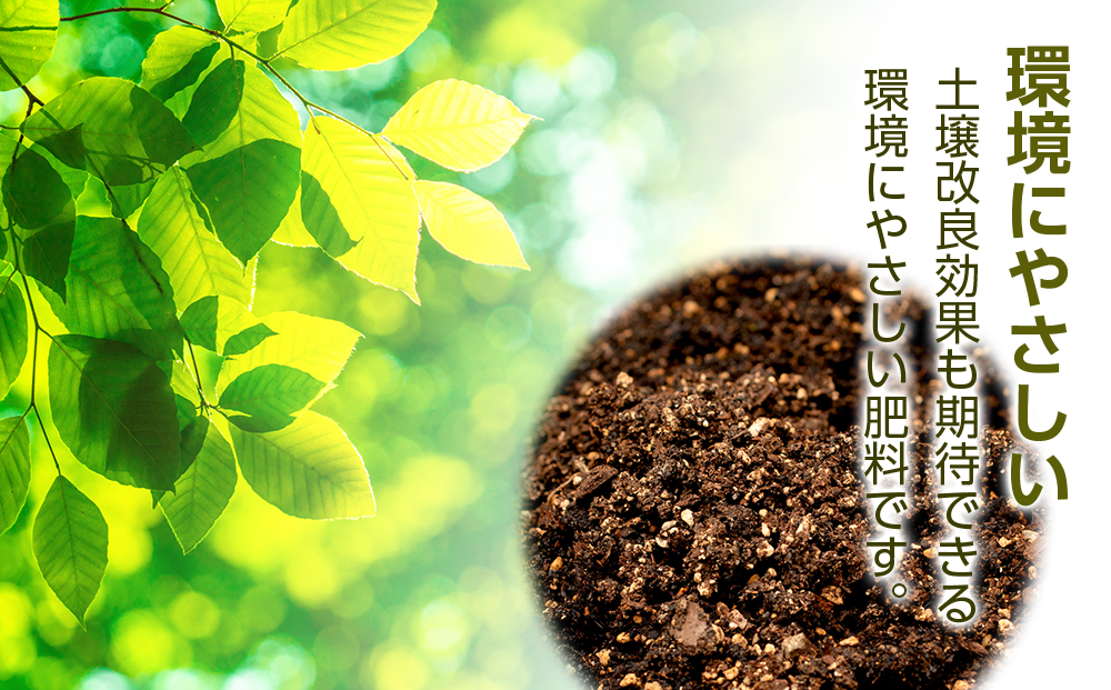 肥料 貝化石 20kg 2袋 土壌 改良 ミネラル 環境