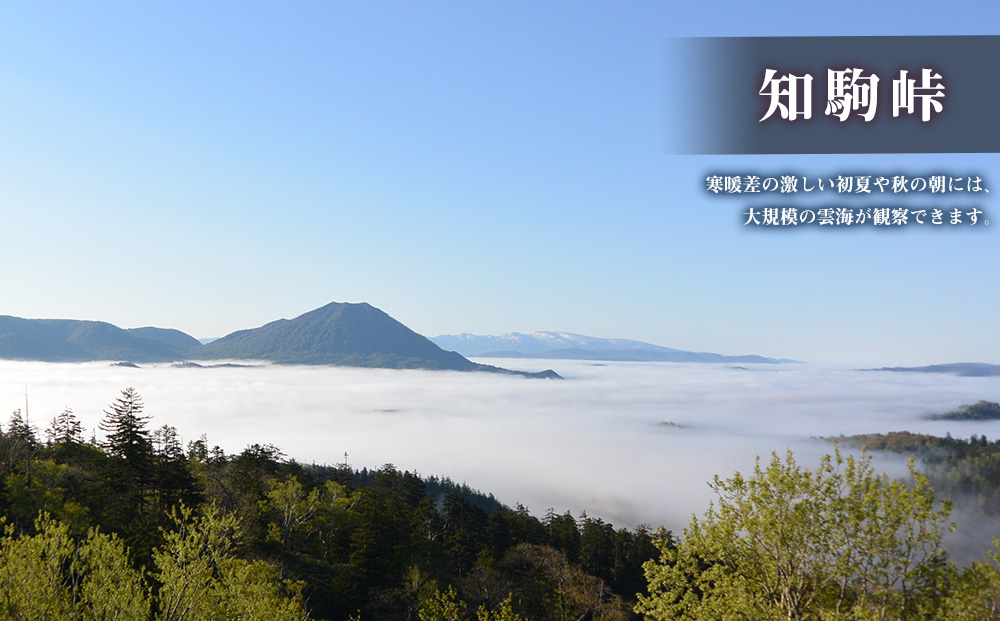 北海道 中頓別町 ☆応援寄附金☆【返礼品なし】100,000円分 ふるさと納税 寄附のみ