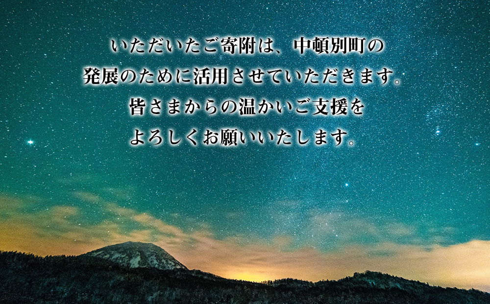 北海道 中頓別町 ☆応援寄附金☆【返礼品なし】10,000円分 ふるさと納税 寄附のみ