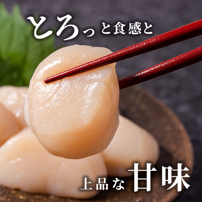 北海道 オホーツク産 ふるさとの贈り物 1.3kgの冷凍ほたて貝柱【枝幸ほたて】至福の味 海洋食品 刺身 魚介 帆立 超目玉