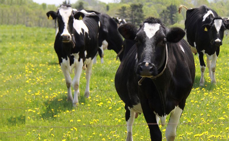 北海道枝幸町 寄附のみの応援受付 5,000円コース（返礼品なし 寄附のみ 5000円）