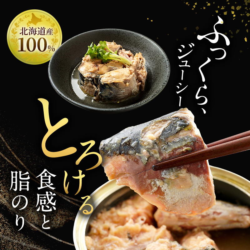 北海道オホーツク枝幸産 さば水煮 缶詰170g×10個 水揚げ当日フレッシュパック！［海洋食品］【 さば サバ サバ缶 缶詰 新鮮 惣菜 保存 長期 加工食品 魚貝 魚介 北海道 オホーツク 枝幸 】