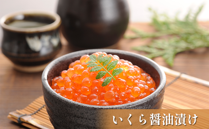 オホーツク枝幸の恵 高田商店《匠》セット 【 魚貝類 いくら 魚卵 帆立 ホタテ サーモン 鮭 北海道 】