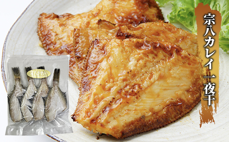 枝幸の四季 3種のカレイ一夜干（宗八カレイ×8・赤カレイ×6～8・ナメタカレイ×4）