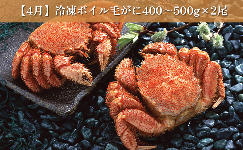 オホーツク枝幸の恵 海の幸 年6回 定期便 [2026年4月発送開始] 丸高 高田商店【 魚貝類 いくら 魚卵 帆立 ホタテ サーモン 鮭 北海道 オホーツク 枝幸 】