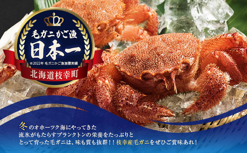 オホーツク枝幸産 毛ガニ500g×3尾（-196℃液体窒素瞬間凍結品）高田商店 【 毛カニ 蟹 かに カニ 北海道 】