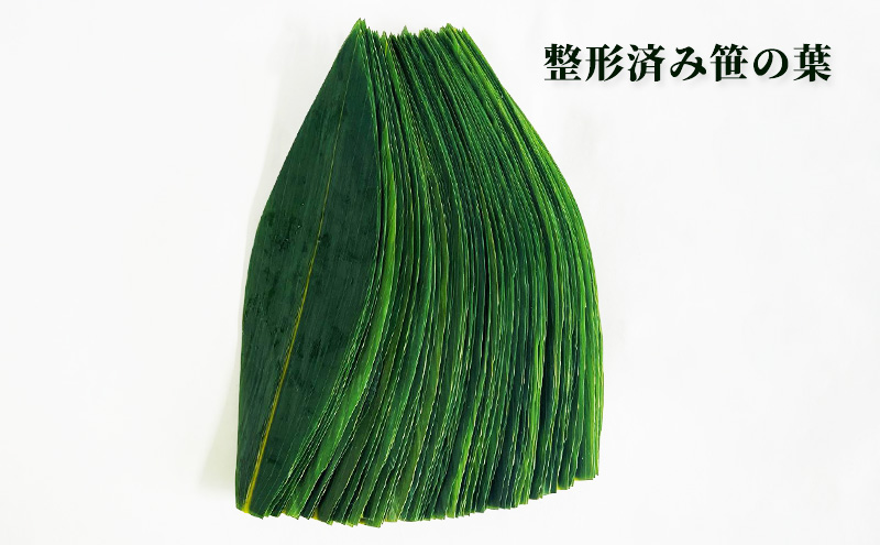 ［整形済］うたのぼりの笹の葉2Sサイズ100枚入り【オホーツク枝幸】19.5cm×6cm