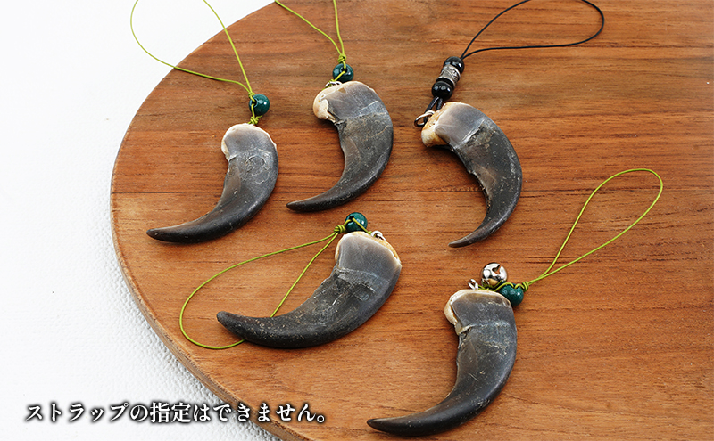 北海道枝幸産 ヒグマの爪ストラップ 6.5cm前後 くま 熊 ヒグマ 羆 アクセ スマホ