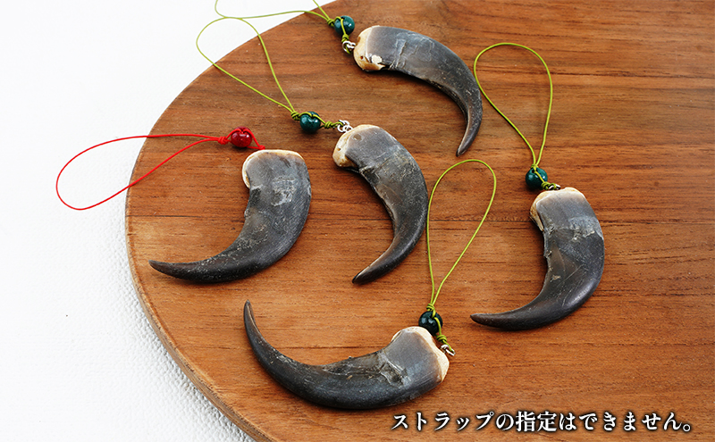 北海道枝幸産 ヒグマの爪ストラップ 7cm前後 くま 熊 ヒグマ 羆 アクセ スマホ