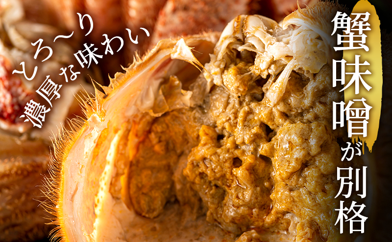 冷凍ボイル毛ガニ 400g前後×2尾［オホーツク枝幸産］山上佐藤水産 カニ かに 毛ガニ 北海道 海鮮