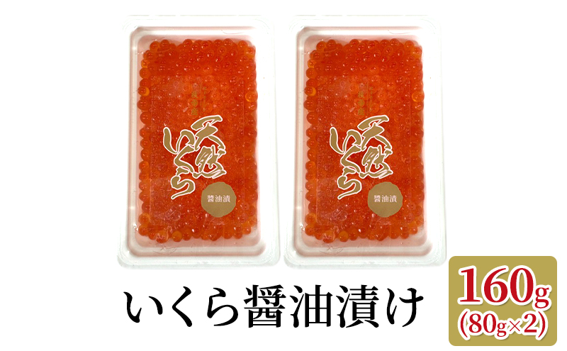 オホーツク枝幸 鮭とばカット・いくら醤油漬けセット 永光水産 【 海鮮 海産物 魚介 魚卵 応援 支援 冷凍 ギフト おつまみ 自宅用 肴  北海道 オホーツク 枝幸 】