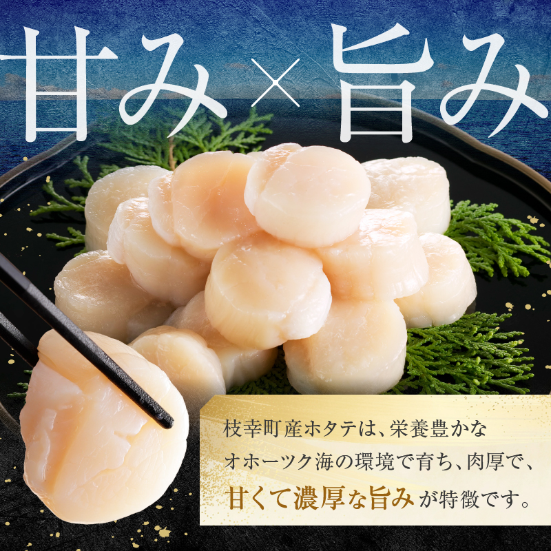 【枝幸ほたて】贈答用 1等ほたて干し貝柱 M500g【 ホタテ 帆立 ほたて 貝柱 干貝柱 干し貝柱 乾物 贈答用 魚貝 魚介 北海道 オホーツク 枝幸 】