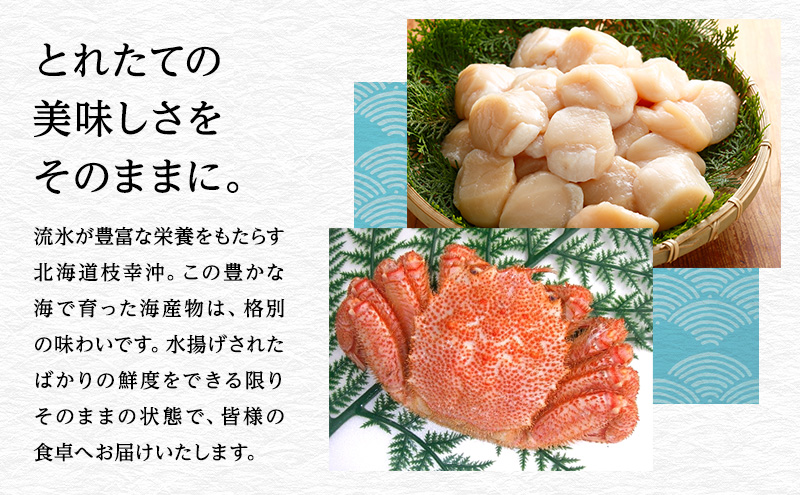オホーツク枝幸産 秋鮭 筋子300g［塩漬け］山上佐藤水産 【 魚貝類 いくら 魚卵 北海道 オホーツク 枝幸 】