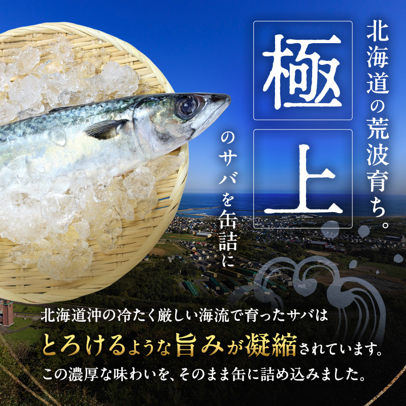 北海道オホーツク枝幸産 さば水煮 缶詰170g×24個 水揚げ当日フレッシュパック！［海洋食品］【 さば サバ サバ缶 缶詰 新鮮 惣菜 保存 長期 加工食品 魚貝 魚介 北海道 オホーツク 枝幸 】