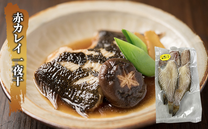 枝幸の四季 3種のカレイ一夜干（宗八カレイ×8・赤カレイ×6～8・ナメタカレイ×4）
